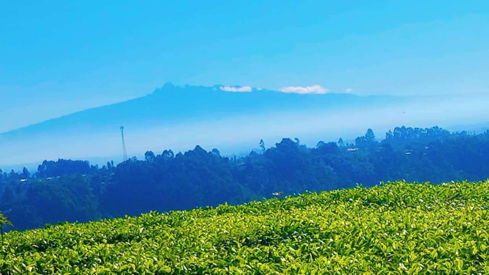 The No.1 Business Directory in Kigumo Sub-County