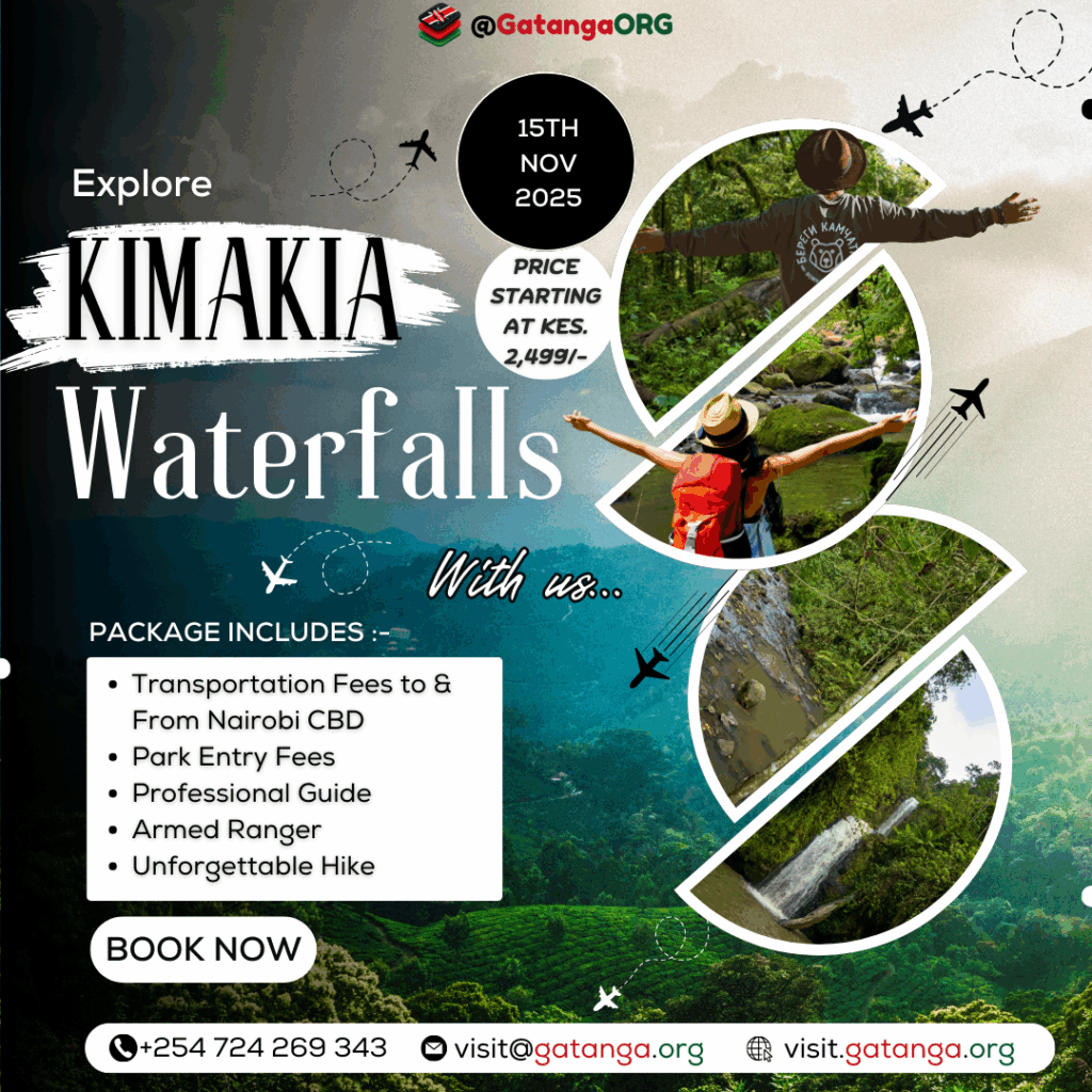 Kimakia Waterfall Chase & Forest Hike – Aberdare