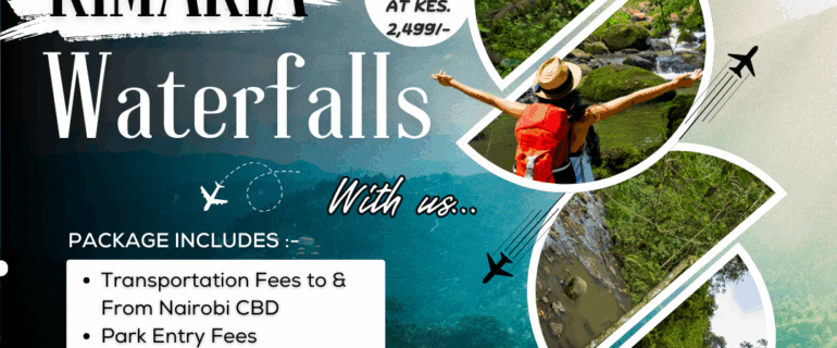 Kimakia Waterfall Chase & Forest Hike – Aberdare