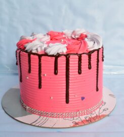 The Cupcake Palace – Gatura