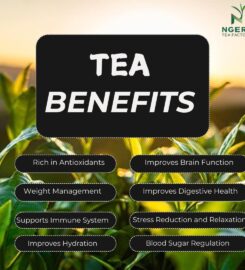 Ngere Tea Factory