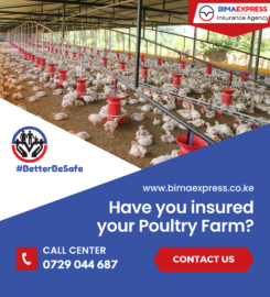Bima Express Insurance Agency